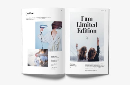 journal limited edition